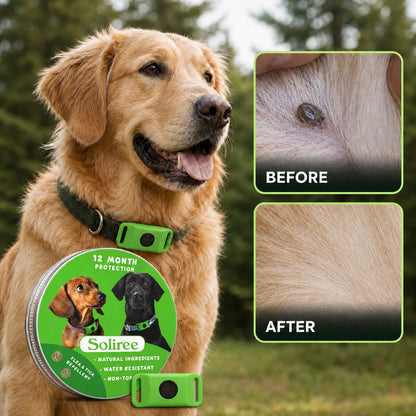12-Month Flea & Tick Dogs Protection