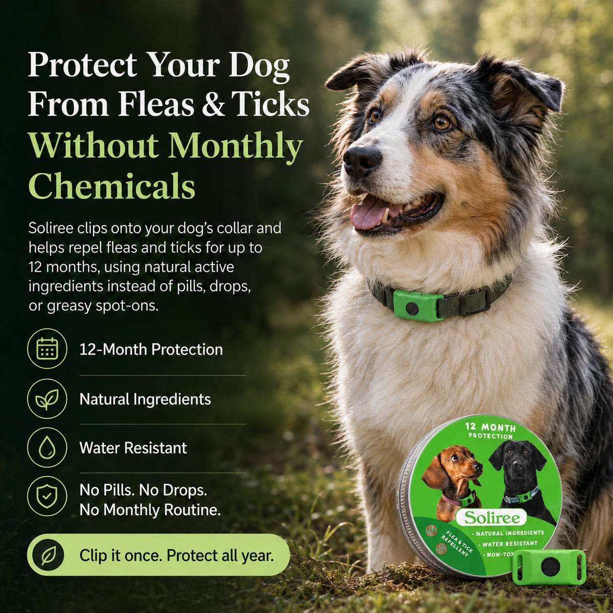12-Month Flea & Tick Dogs Protection
