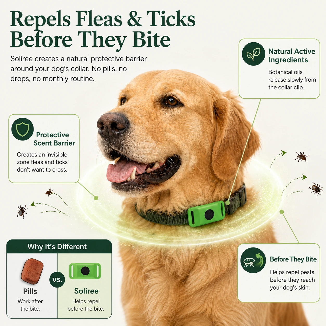 12-Month Flea & Tick Dogs Protection