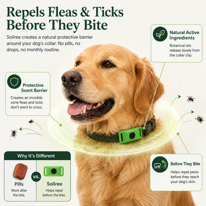 12-Month Flea & Tick Dogs Protection
