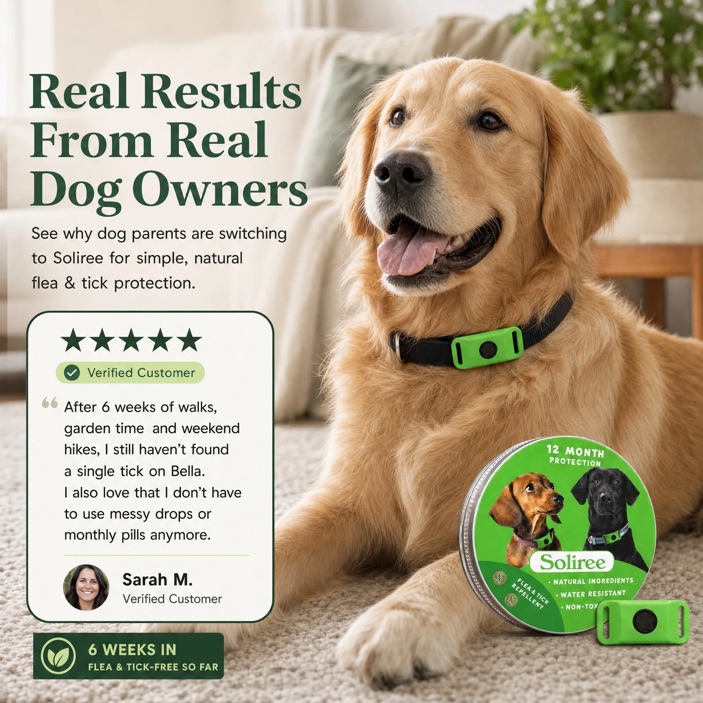 12-Month Flea & Tick Dogs Protection