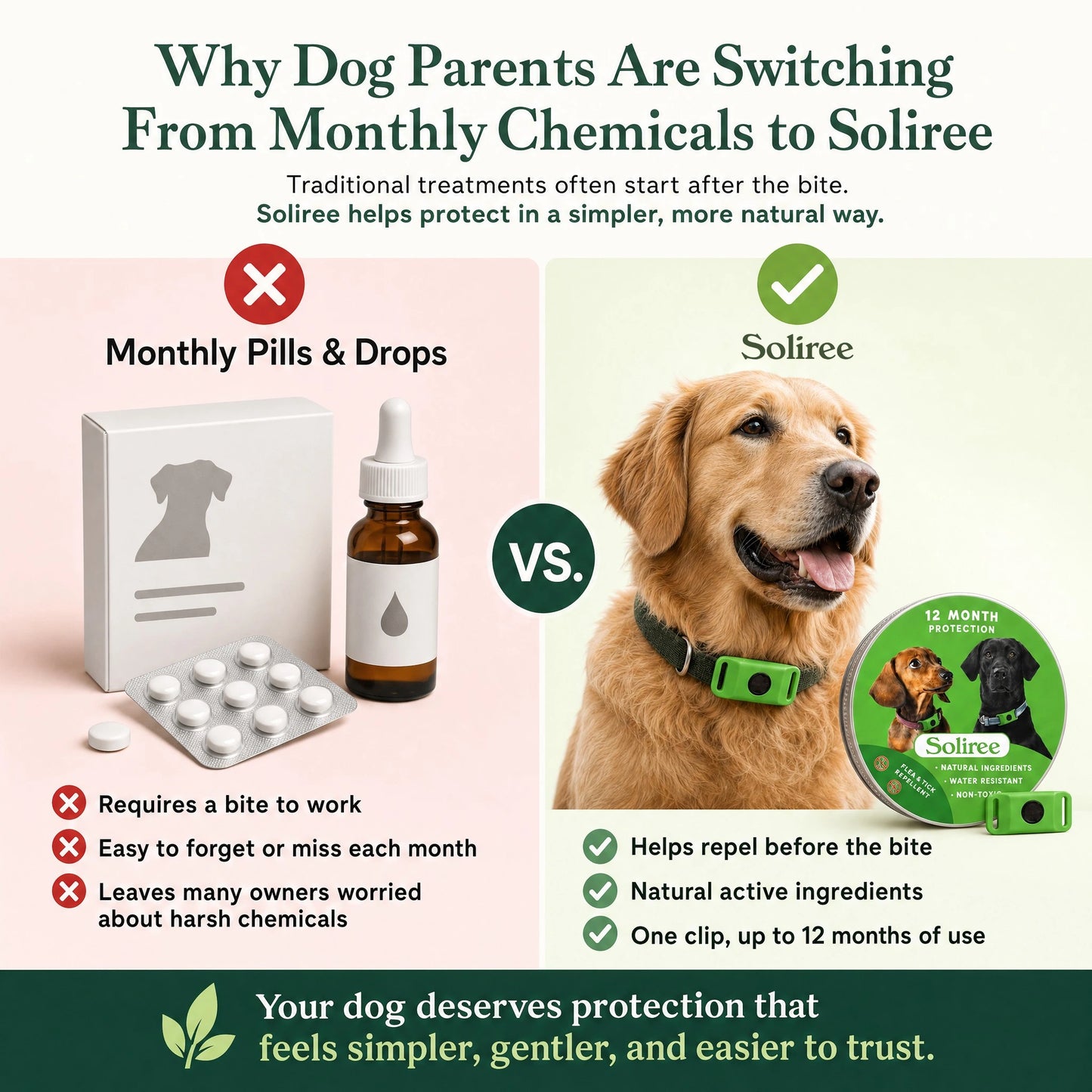 12-Month Flea & Tick Dogs Protection