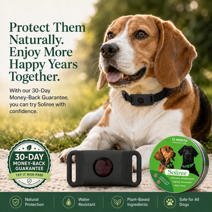 12-Month Flea & Tick Dogs Protection