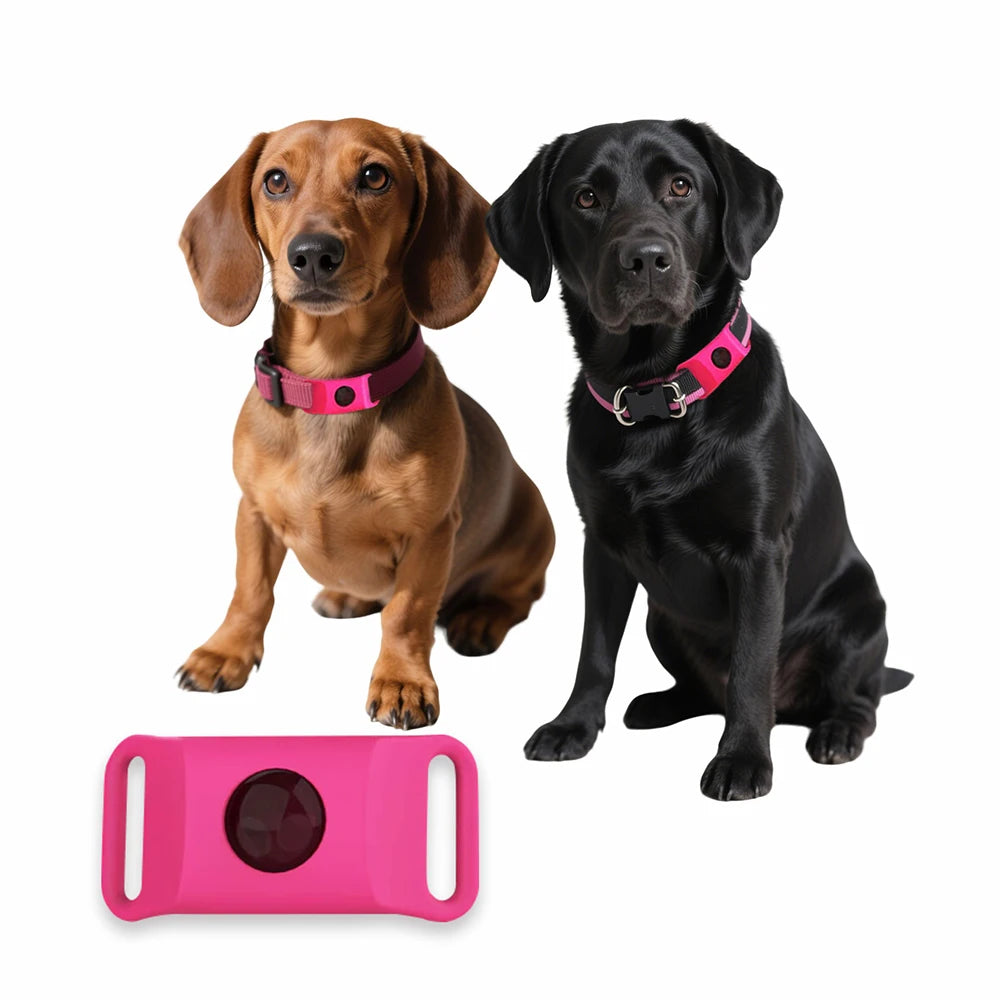 12-Month Flea & Tick Dogs Protection