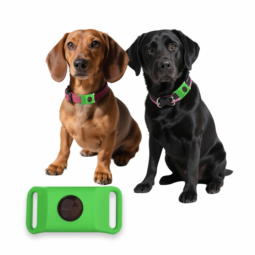 12-Month Flea & Tick Dogs Protection