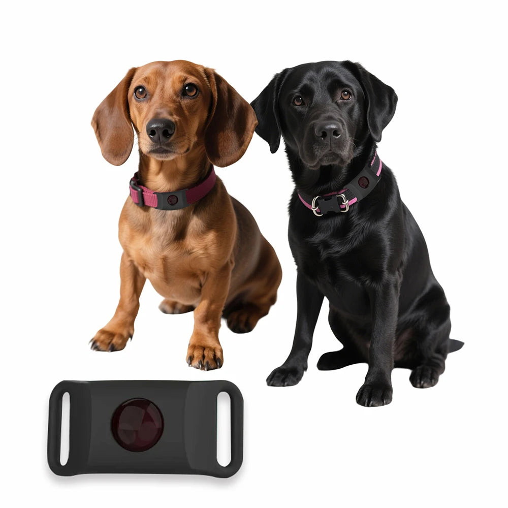 12-Month Flea & Tick Dogs Protection