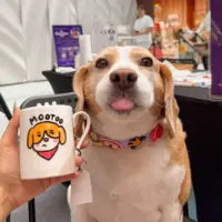 paws.and.coffee