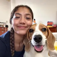 lottie_beagle