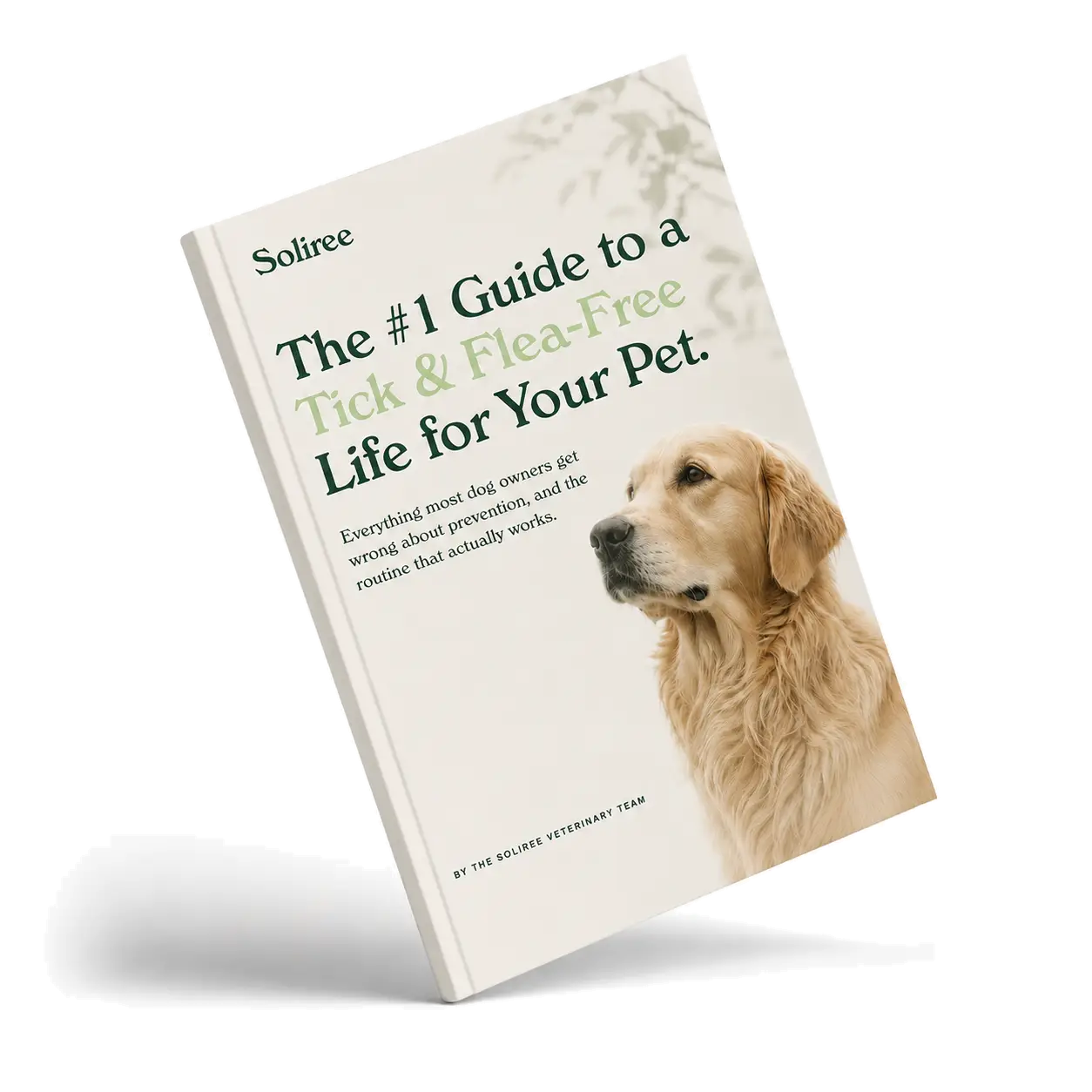 The #1 Guide to a Tick & Flea-Free Life for Your Pet