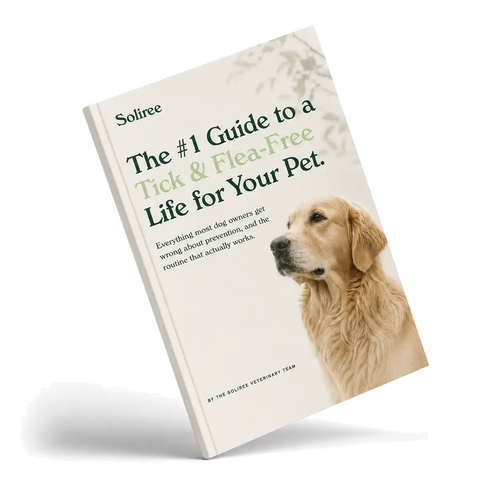 The #1 Guide to a Tick & Flea-Free Life for Your Pet
